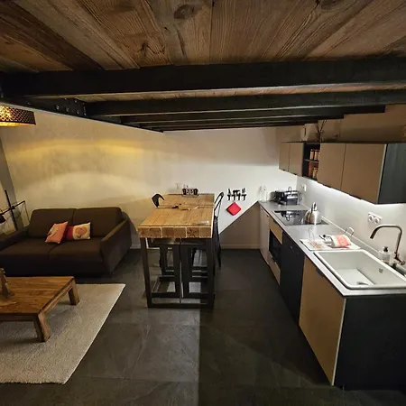 דירה Le Loft De Azieu, Entre Eurexpo Et St Exupery ז'נה